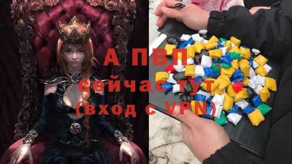 прущая мука Богданович