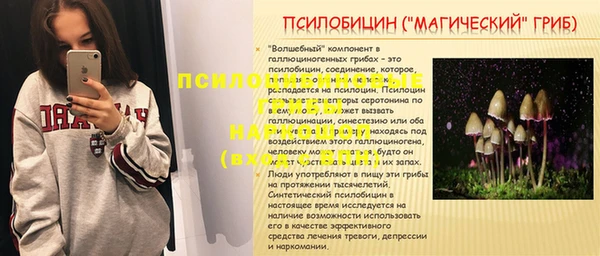 прущая мука Богданович