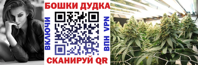 сколько стоит  Красавино  Шишки марихуана Amnesia 